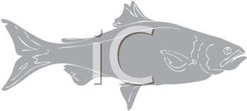 Fish and Sea Life Clipart