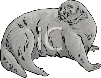 Mammal Clipart