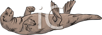 Mammal Clipart