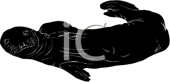 Fish and Sealife Clipart