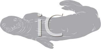 Fish and Sealife Clipart