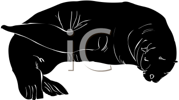 Fish and Sealife Clipart