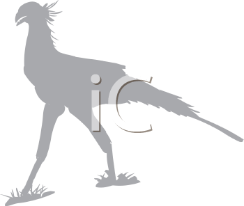 Bird Clipart