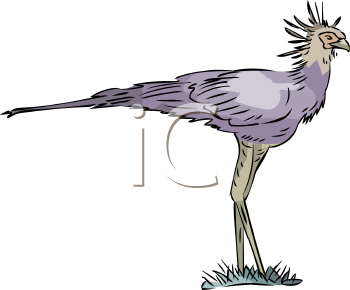 Bird Clipart