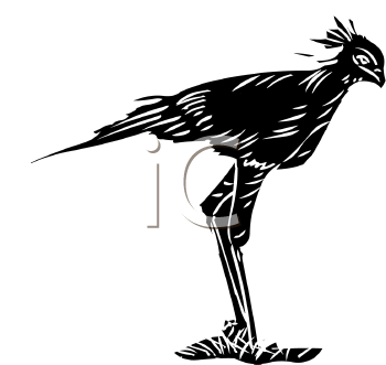 Bird Clipart