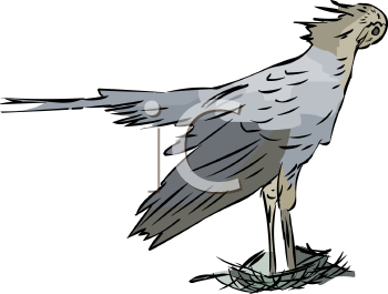 Bird Clipart