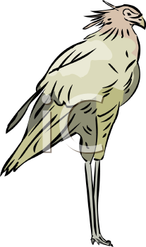 Bird Clipart