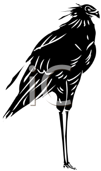 Bird Clipart