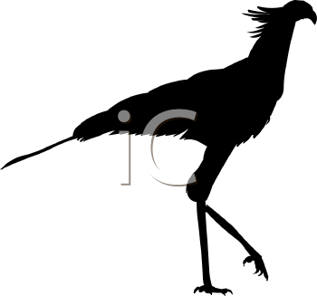 Bird Clipart