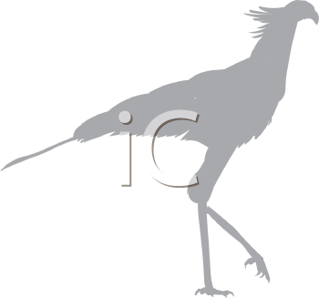 Bird Clipart