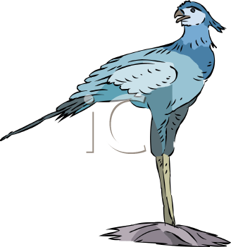 Bird Clipart