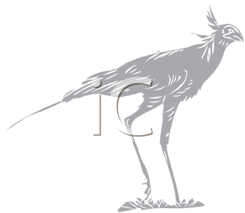 Bird Clipart