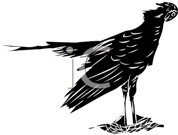 Bird Clipart