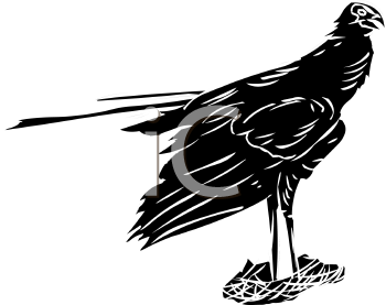 Bird Clipart