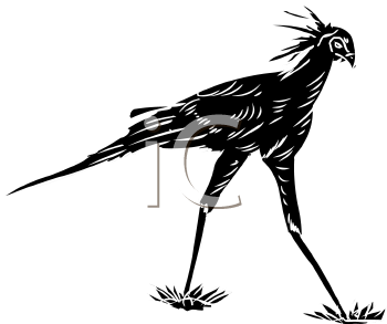 Bird Clipart