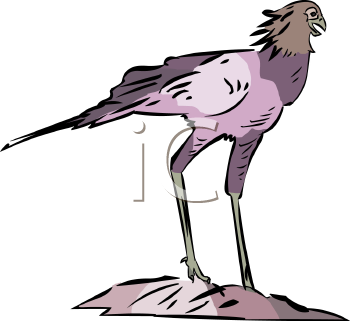 Bird Clipart