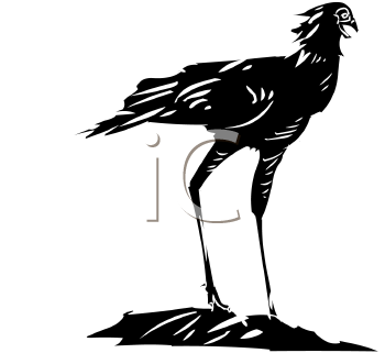 Bird Clipart