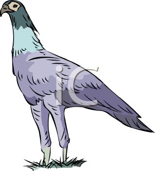 Bird Clipart