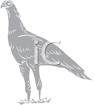 Bird Clipart