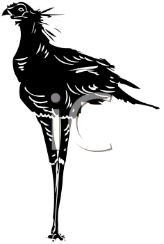 Bird Clipart