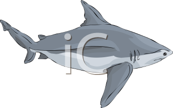 Fish and Sea Life Clipart