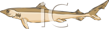 Fish and Sea Life Clipart