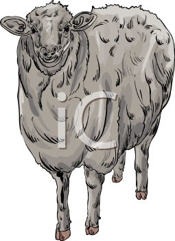 Farm Animal Clipart