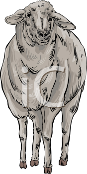 Farm Animal Clipart