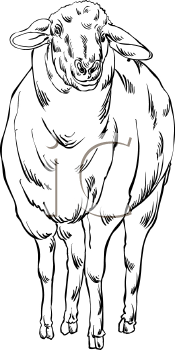 Farm Animal Clipart