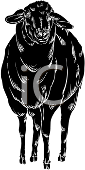 Farm Animal Clipart