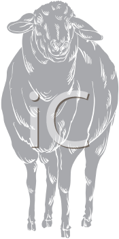 Farm Animal Clipart