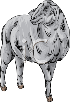 Farm Animal Clipart