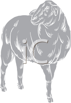 Farm Animal Clipart