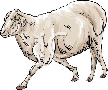 Farm Animal Clipart