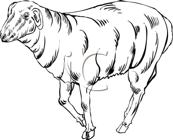 Farm Animal Clipart