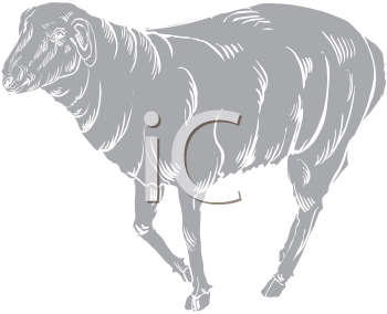 Farm Animal Clipart