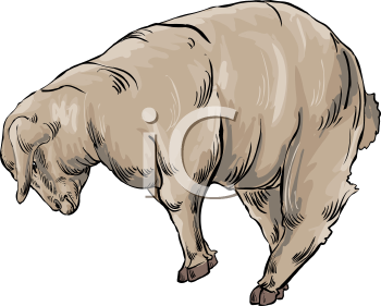 Farm Animal Clipart