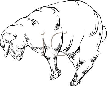 Farm Animal Clipart