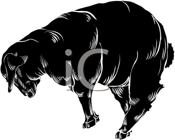 Farm Animal Clipart