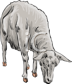 Farm Animal Clipart