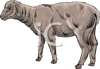 Farm Animal Clipart