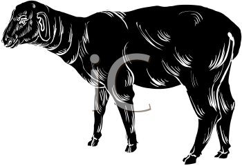 Farm Animal Clipart