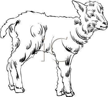 Farm Animal Clipart