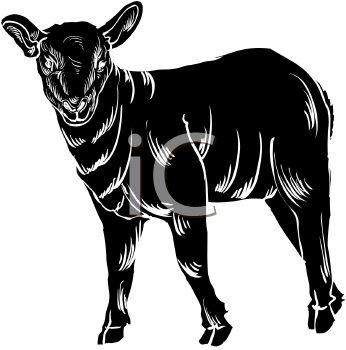 Farm Animal Clipart