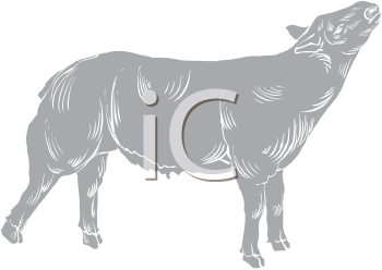 Farm Animal Clipart