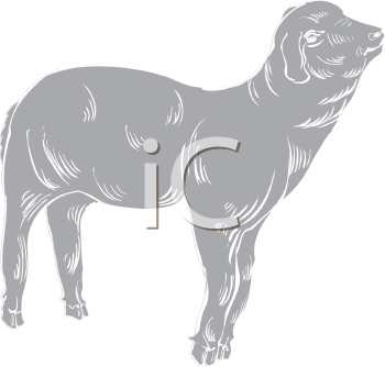 Farm Animal Clipart