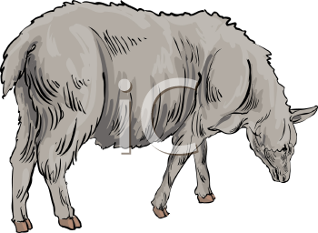 Farm Animal Clipart