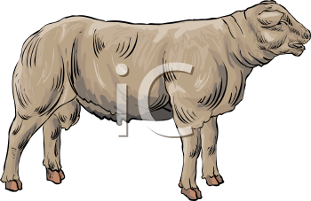 Farm Animal Clipart