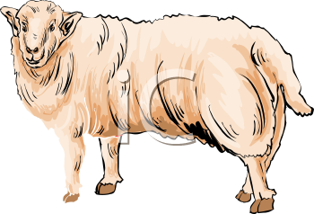 Farm Animal Clipart