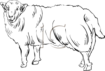 Farm Animal Clipart